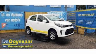  Kia Picanto Picanto (JA), Hatchback, 2017 1.0 DPi 12V 2022/8