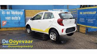 Kia Picanto Picanto (JA), Hatchback, 2017 1.0 DPi 12V picture 3