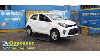 Uttjänta bilar auto Kia Picanto Picanto (JA), Hatchback, 2017 1.0 DPI 12V 2023/12
