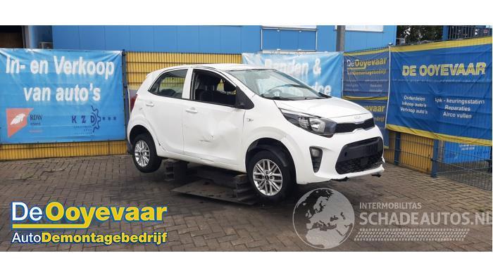 Kia Picanto Picanto (JA), Hatchback, 2017 1.0 DPI 12V