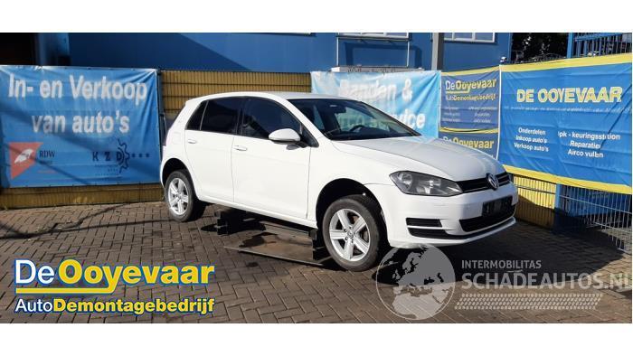 Volkswagen Golf Golf VII (AUA), Hatchback, 2012 / 2021 1.2 TSI 16V