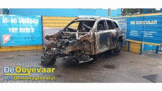 Mercedes EQB EQB (X243), SUV, 2021 300 4-Matic picture 3