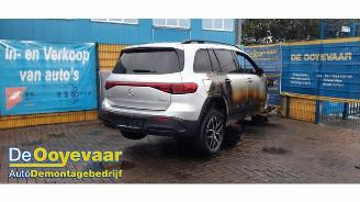 Mercedes EQB EQB (X243), SUV, 2021 300 4-Matic picture 1