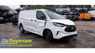  Ford Transit Transit Custom, Van, 2023 2.0 EcoBlue 136 2024/11