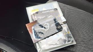 Opel Grandland Opel Grandland (X) edition automatiek picture 10