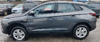 Opel Grandland Opel Grandland (X) edition automatiek picture 2
