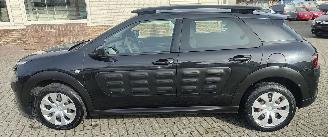 Citroën C4 cactus Citroën C4 Cactus Feel navi camera picture 2