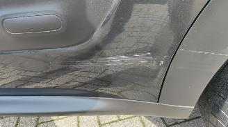 Citroën C4 cactus Citroën C4 Cactus Feel navi camera picture 4