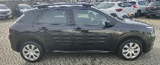 Citroën C4 cactus Citroën C4 Cactus Feel navi camera picture 6