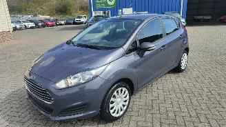 Gebrauchtwagen PKW Ford Fiesta Ford Fiesta Trend top staat 2015/3
