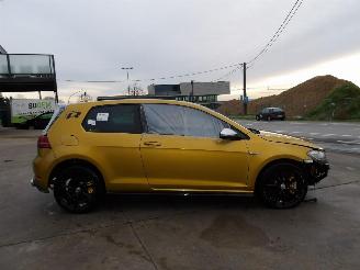 Volkswagen Golf R-TYPE picture 4