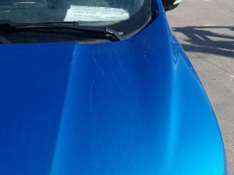 Ford EcoSport  picture 12