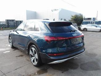Audi E-tron 55 QUATRO picture 8