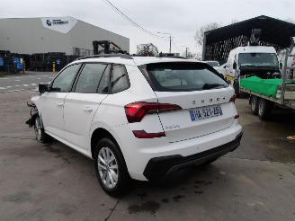 Skoda Kamiq  picture 6