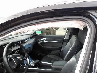 Audi E-tron SPORTBAG 50 QUATTRO picture 2