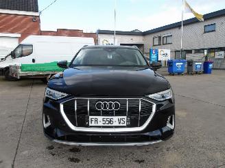 Audi E-tron SPORTBAG 50 QUATTRO picture 4