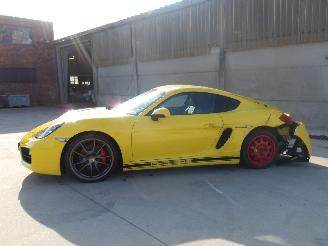Porsche Cayman  picture 5