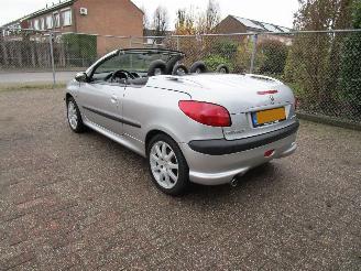 Peugeot 206 CC 1.6 Automaat Leder picture 4