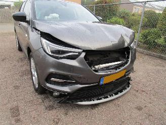 Opel Grandland X 1.2T Navi Camera Panodak 6-Bak picture 8