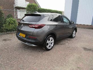 Opel Grandland X 1.2T Navi Camera Panodak 6-Bak picture 4