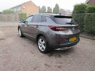Opel Grandland X 1.2T Navi Camera Panodak 6-Bak picture 2