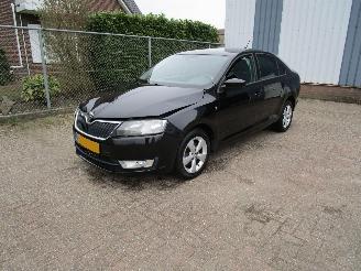 Schadeauto Skoda Rapid 1.2 TSI Navi Clima 6-Bak 2013/7