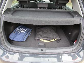 Volkswagen e-Golf Navi Camera 57.000 KM picture 15