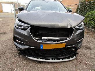 Opel Grandland X 1.2T Camera Navi Panodak 6-Bak picture 7
