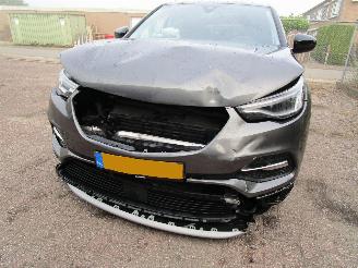 Opel Grandland X 1.2 T Navi Panodak Camera picture 6