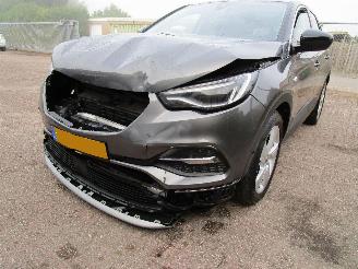 Opel Grandland X 1.2 T Navi Panodak Camera picture 5