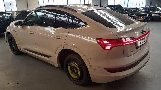 Audi E-tron 50 SUV  AUT ELEKTRISCH  230KW 313PK 4x4 2019-09 picture 7