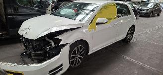 Autoverwertung Volkswagen Golf 1.4 TSI ACT Highline 2013/8
