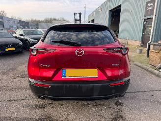 Mazda CX-30 2.0 AUTOMAAT e-SkyActiv-X M Hybrid Homura BJ 2023 10319 KM picture 4