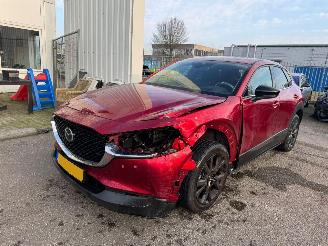 Unfallwagen Mazda CX-30 2.0 AUTOMAAT e-SkyActiv-X M Hybrid Homura BJ 2023 10319 KM 2023/6