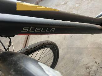 Stella  STELLA VICENZA DAMES picture 4