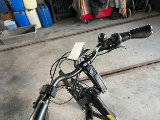 Stella  STELLA VICENZA DAMES picture 2