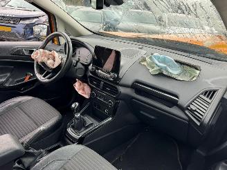 Ford EcoSport 1.0 EcoBoost Titanium picture 13