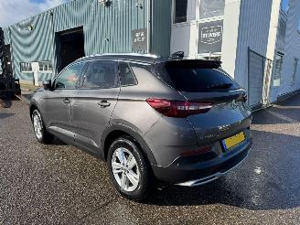 Opel Grandland X 1.2 Turbo Business Executive picture 3