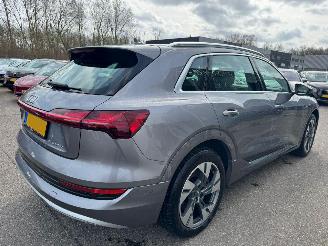 Audi E-tron 55 quattro advanced 95 kWh picture 5