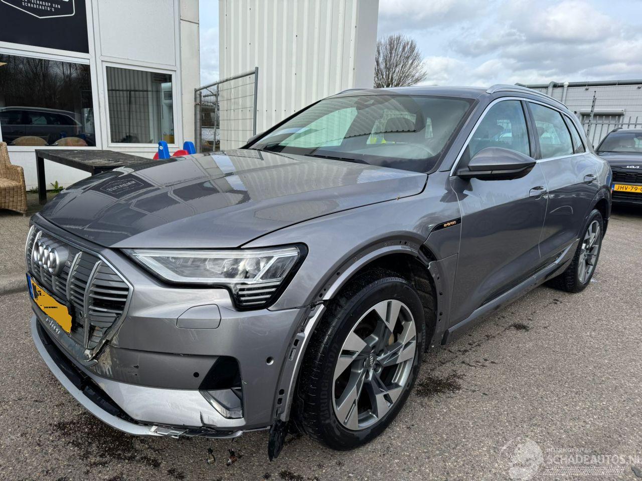 Audi E-tron 55 quattro advanced 95 kWh