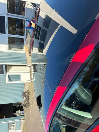 Tesla Model 3 Standard RWD Plus 60 kWh picture 8