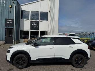 Citroën C4 cactus 1.2 PureTech Shine picture 2