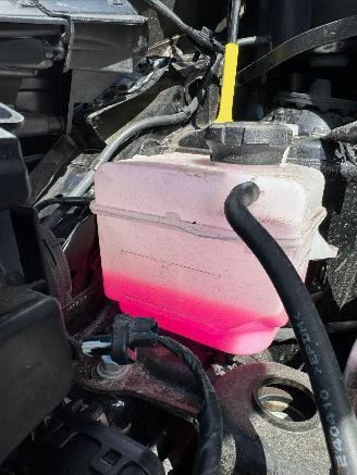 Kia Picanto 1.0 DPI DynamicLine picture 15