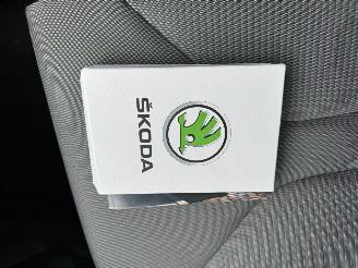 Skoda Enyaq iV 80 picture 16