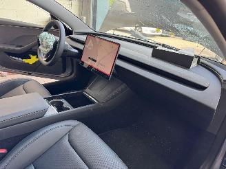 Tesla Model 3 RWD60 kWh picture 13