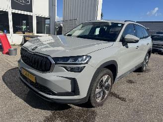 Schadeauto Skoda Kodiaq 1.5 TSI MHEV Business Edition 7p 2024/6