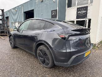 Tesla Model Y RWD 58 kWh picture 3