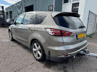 Ford S-Max 2.0 Titanium 7p. picture 3