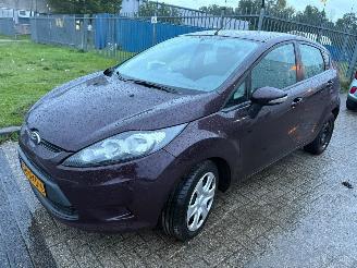 Coche accidentado Ford Fiesta 1.25 Limited 2010/11
