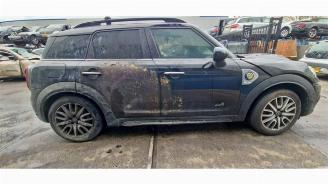 Mini Countryman Countryman (F60), SUV, 2016 1.5 TwinPower Turbo 12V Cooper SE ALL4 picture 7